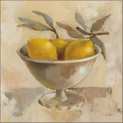 Kirklands Home Lemon Bowl Framed Canvas Art Print Sale