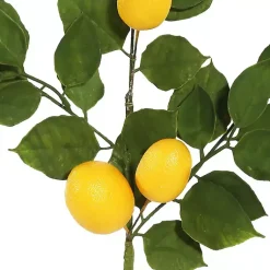 Stems & Bouquets>Kirklands Home Lemon Leaf Spray Stems, Set of 4