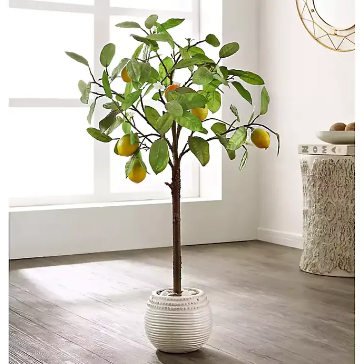 Trees & Topiaries>Kirklands Home Lemon Tree in White Pot