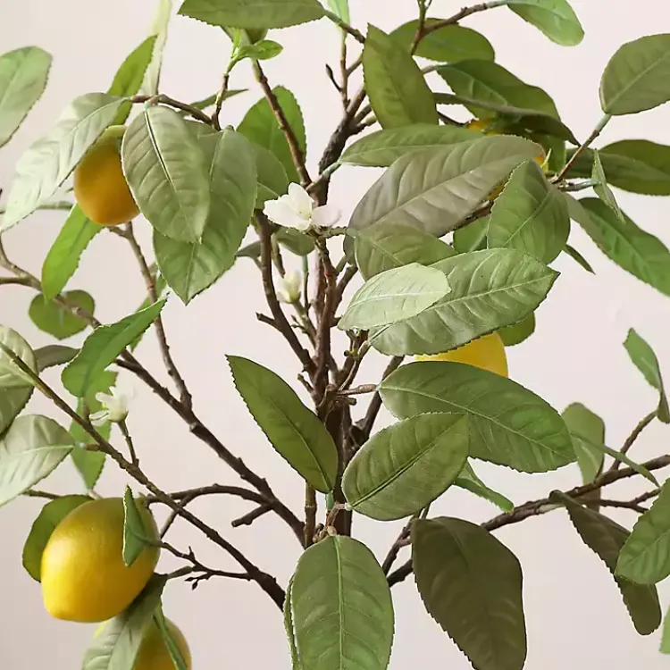 Trees & Topiaries>Kirklands Home Lemon Tree in White Pot