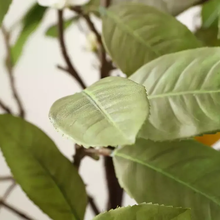 Trees & Topiaries>Kirklands Home Lemon Tree in White Pot