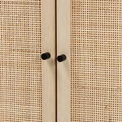 Kirklands Home Light Wood and Rat 2-Door Cabinet Tan Outlet