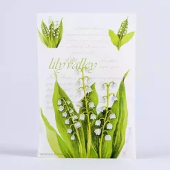 Sachets>Kirklands Home Lily of the Valley Sachet