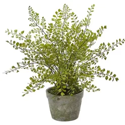 Trees & Topiaries>Kirklands Home Maiden Hair Fern in Ceramic Planter