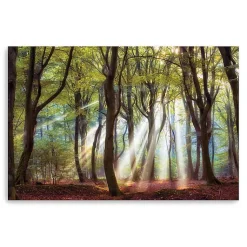 Kirklands Home Majestic Morning Giclee Canvas Art Print Green Online