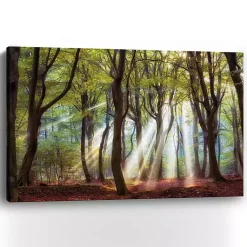 Kirklands Home Majestic Morning Giclee Canvas Art Print Green Online