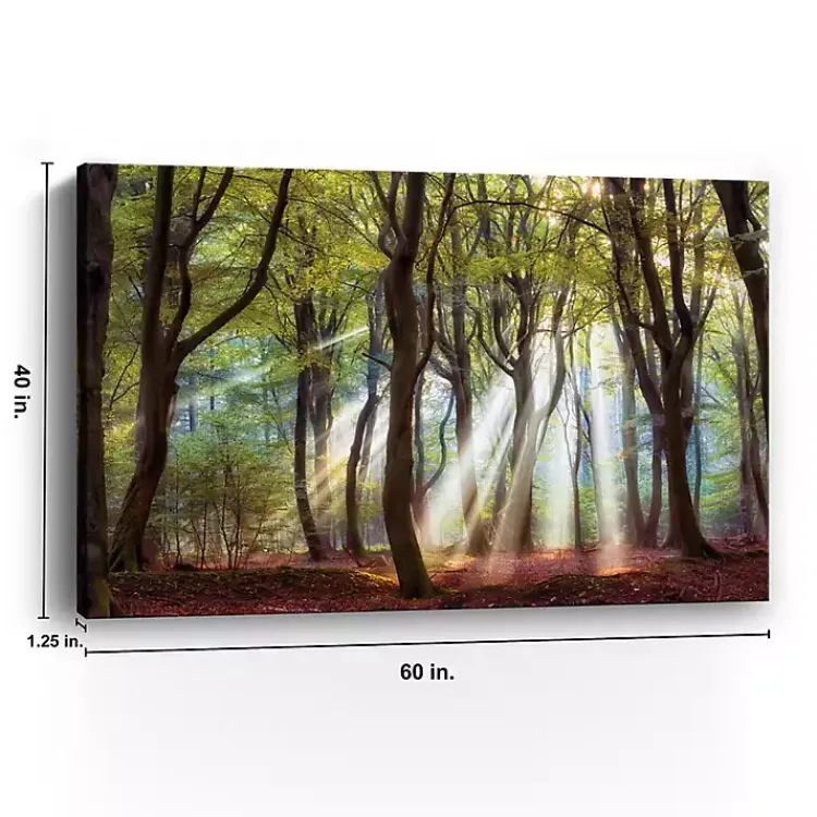 Kirklands Home Majestic Morning Giclee Canvas Art Print Green Online