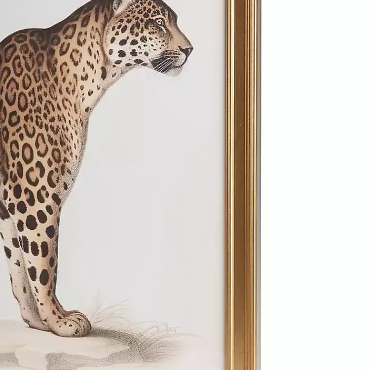 Kirklands Home Martha Stewart Cheetahs Framed Wall Art, Set of 2 Sale