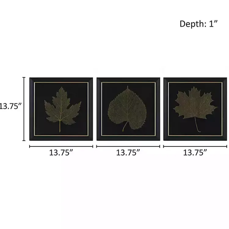 Kirklands Home Martha Stewart Leaf Framed Prints, Set of 3