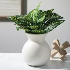 Vases><noscript><img width=
