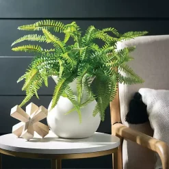 Vases><noscript><img width=