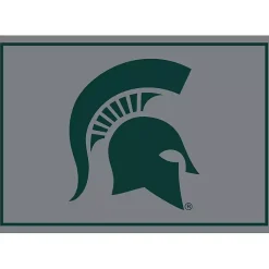 Kirklands Home Michigan State Area Rug, 4x6 Sale