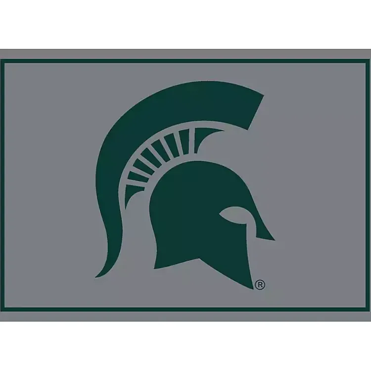 Kirklands Home Michigan State Area Rug, 4x6 Sale