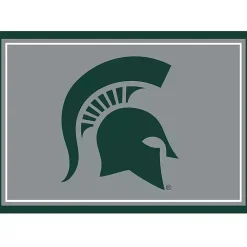Kirklands Home Michigan State University Area Rug, 3x4 Online