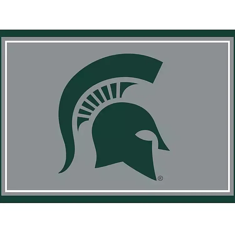Kirklands Home Michigan State University Area Rug, 3x4 Online