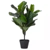 Trees & Topiaries>Kirklands Home Mini Fiddle Leaf Fig Tree in Black Pot