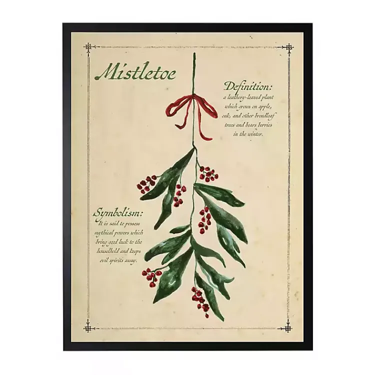 Christmas Art & Wall Decor>Kirklands Home Mistletoe Definition Framed Christmas Art Print