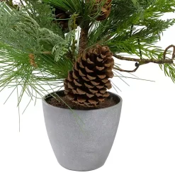 Trees & Topiaries>Kirklands Home Mixed Pine Potted Christmas Tree Green