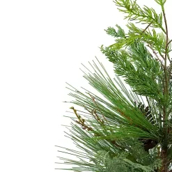 Trees & Topiaries><noscript><img width=