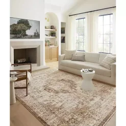 Kirklands Home Mocha and Cream Sorrento Area Rug, 7x10 Best