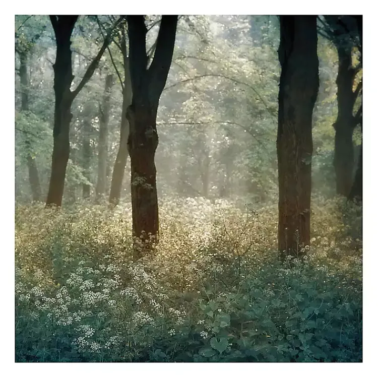 Kirklands Home Morning in the Forest Giclee Canvas Art Print Outlet