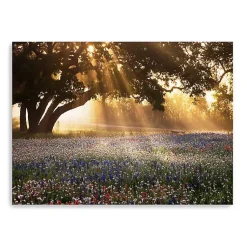 Kirklands Home Morning Meadow Giclee Canvas Art Print, 40x30 in. Yellow Hot