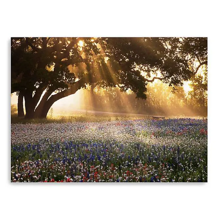 Kirklands Home Morning Meadow Giclee Canvas Art Print, 48x36 in. Yellow