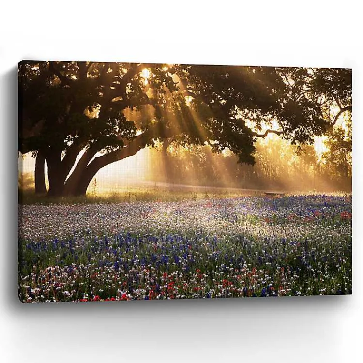 Kirklands Home Morning Meadow Giclee Canvas Art Print, 48x36 in. Yellow