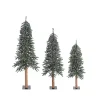 Christmas Trees>Kirklands Home Natural Bark Alpine Christmas Trees, Set of 3