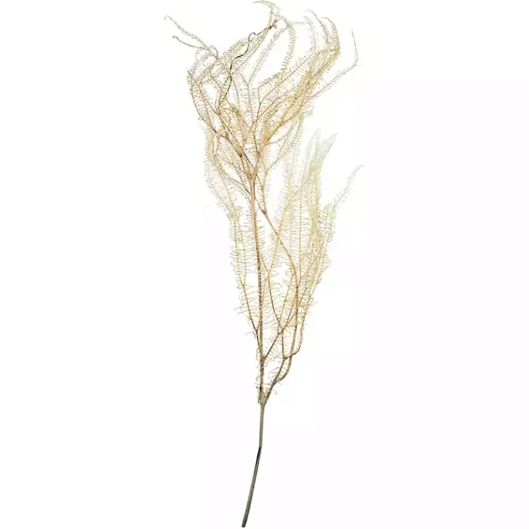 Stems & Bouquets>Kirklands Home Natural Bleached Andares Fern Stems, Set of 9 Ivory
