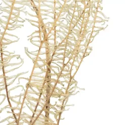Stems & Bouquets><noscript><img width=