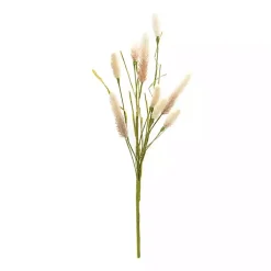 Stems & Bouquets>Kirklands Home Natural Foxtail Sprays, Set of 6