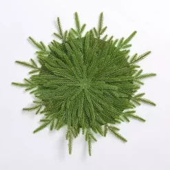 Christmas Dining & Entertaining>Kirklands Home Natural Norfolk Pine Placemat Green