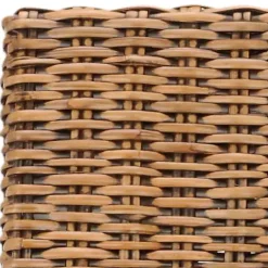 Kirklands Home Natural Rattan Wood Woven 2-pc. Dining Chair Set Brown Outlet