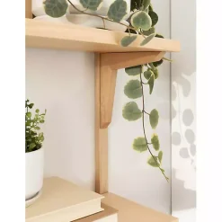 Kirklands Home Natural Wood Traditional Two-Tiered Wall Shelf Tan New