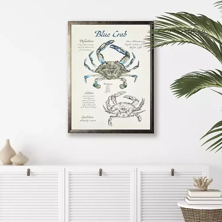 Kirklands Home Nature Study of a Blue Crab Framed Art Print Tan Sale
