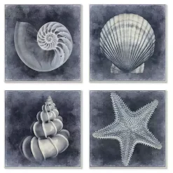 Kirklands Home Nautical Seashells 4-pc. Canvas Art Print Set Outlet