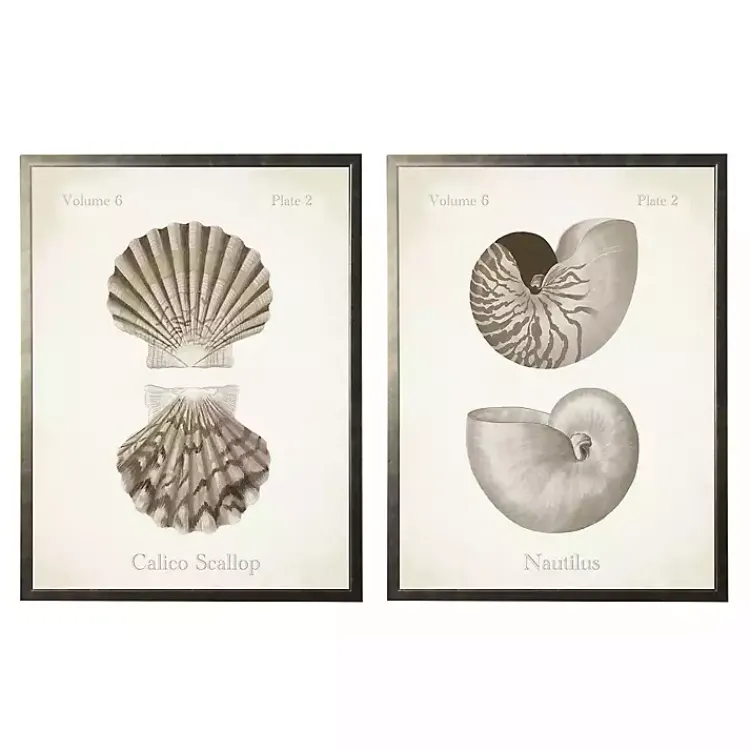 Kirklands Home Neutral Seashells Framed Art Prints, Set of 2