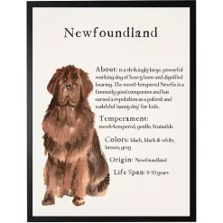 Kirklands Home Newfoundland Facts Framed Wall Plaque Hot