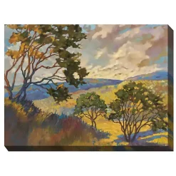 Kirklands Home No Boundaries Outdoor Canvas Art Print Multi
