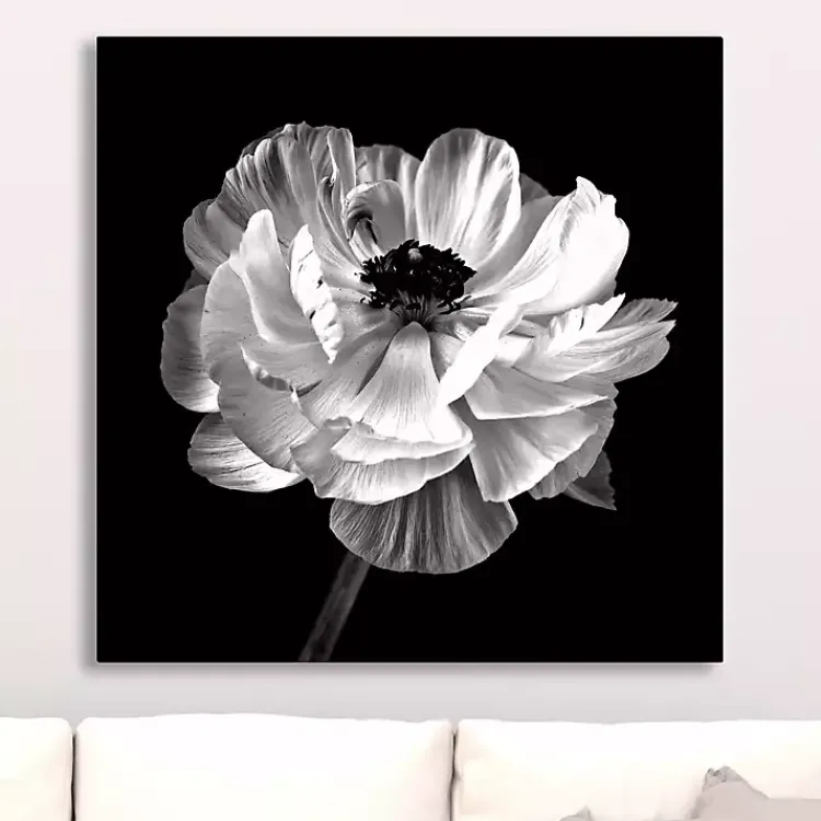 Kirklands Home Noir Ranunculus Floral Giclee Canvas Art Print Discount