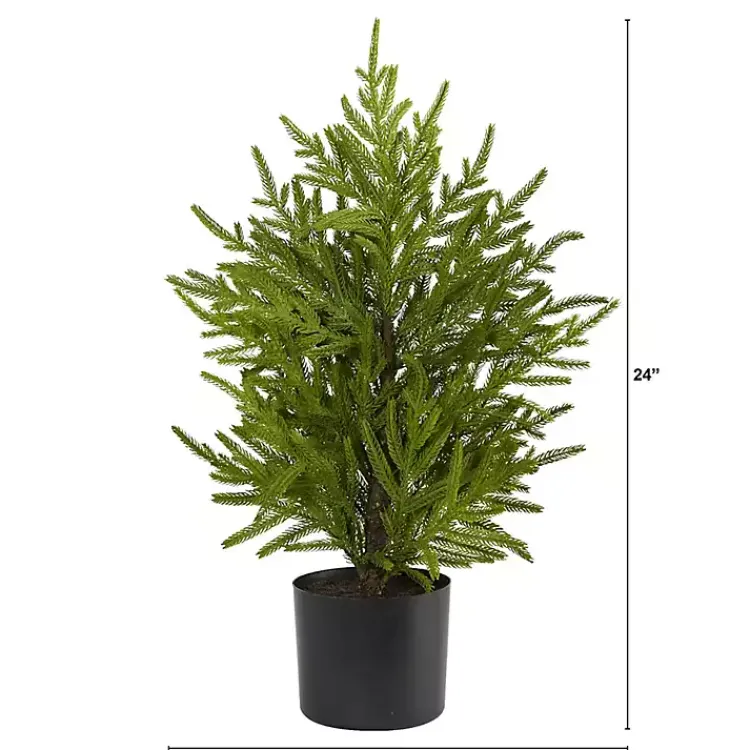 Christmas Arrangements & Garland>Kirklands Home Norfolk Island Pine Mini Tree in Black Planter