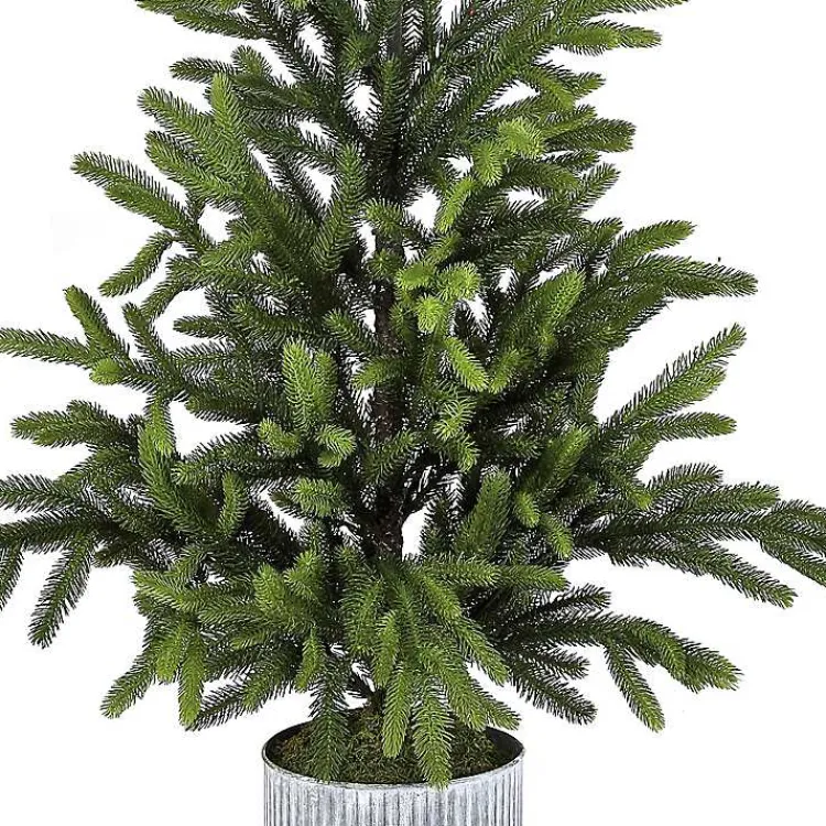 Christmas Arrangements & Garland>Kirklands Home Norway Spruce Potted Christmas Tree