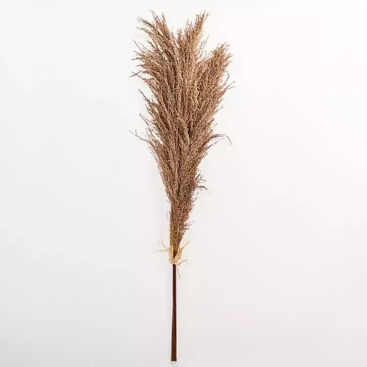 Stems & Bouquets>Kirklands Home Nutmeg Pampas Grass Bundle Brown