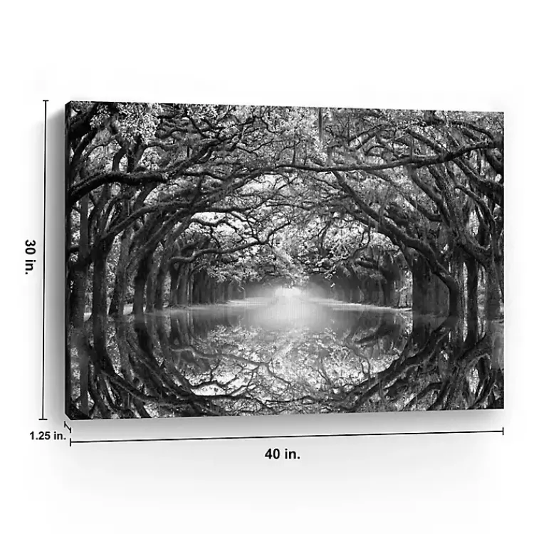 Kirklands Home Oak Alley Reflection Giclee Canvas Art Print Hot