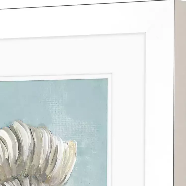 Kirklands Home Ocean Seashells I Framed Art Prints, Set of 2 Outlet