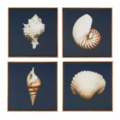 Kirklands Home Ocean Shell Framed Canvas Art Prints, Set of 4 Clearance