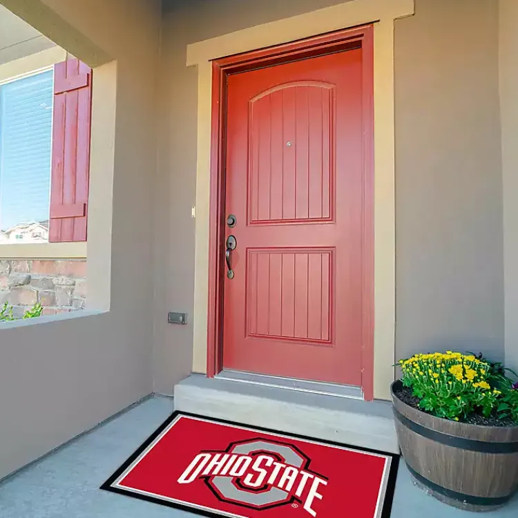 Kirklands Home Ohio State University Area Rug, 3x4 Sale