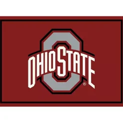 Kirklands Home Ohio State University Area Rug, 4x6 Red Hot