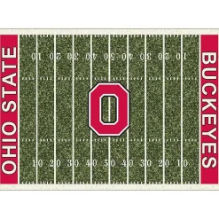 Kirklands Home Ohio State University Home Field Area Rug, 6x8 Green New